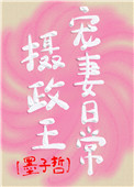 摄政王宠妻日常电视剧